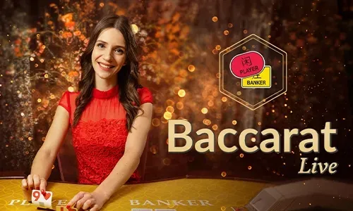 Slots Game Provider